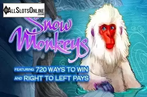 Snow Monkeys. Snow Monkeys from High 5 Games