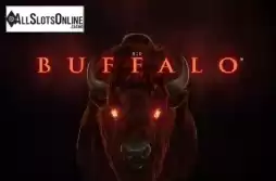 Big Buffalo (ZITRO)
