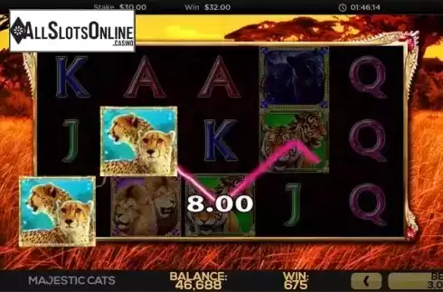 Win Screen 1. Majestic Cats from High 5 Games