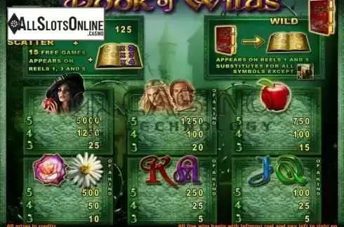 Screen4. Book Of Wilds from Casino Technology
