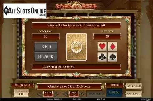 Gamble screen. Book of Dead from Play'n Go