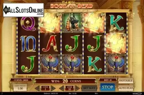 Free spins win screen. Book of Dead from Play'n Go