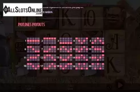 Paylines screen. Don Spinchote from 888 Gaming