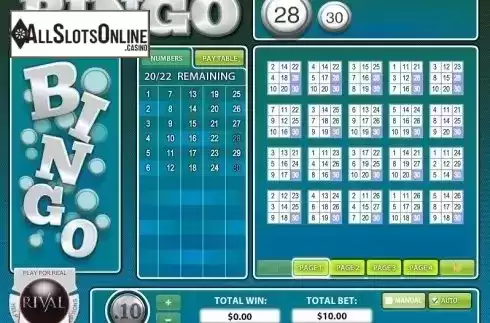 Screen3. Instant Bingo from Rival Gaming