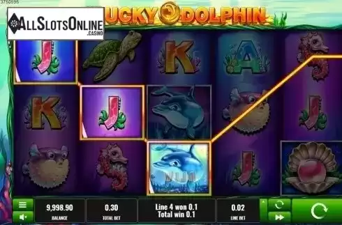 Win screen. Lucky Dolphin from Platipus