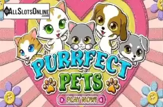 Purrfect Pets. Purrfect Pets from RTG