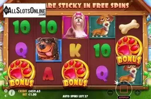 Free Spins. The Dog House from Pragmatic Play