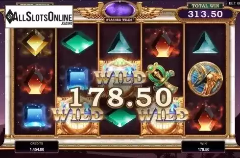 Free Spins Win Screen 4. Wild Scarabs from Microgaming