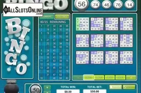 Game workflow 3. 80 Ball BINGO from Rival Gaming