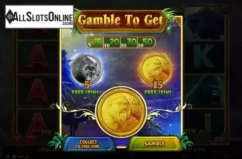 Free Spins. Magical Amazon from Spinomenal