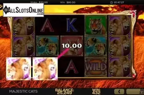 Win Screen 3. Majestic Cats from High 5 Games