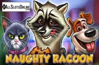 NAUGHTY RACOON. Naughty Racoon from Casino Technology