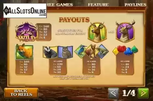 Paytable. Forest Prince from Playtech