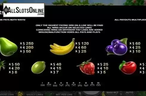 Paytable. Fruit Serenity from Nucleus Gaming