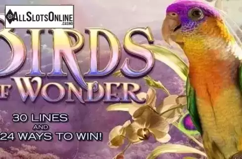 Birds of Wonder. Birds of Wonder from High 5 Games