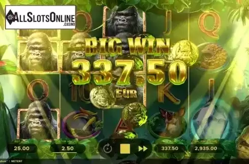 Big Win. Gorilla Kingdom from NetEnt