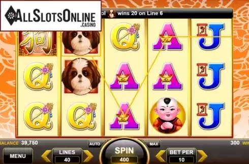Win Screen 2. Lucky Shih Tzu from Spin Games