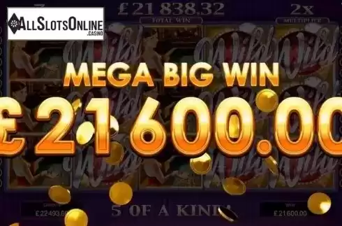 Mega Big Win. Life of Riches from Microgaming
