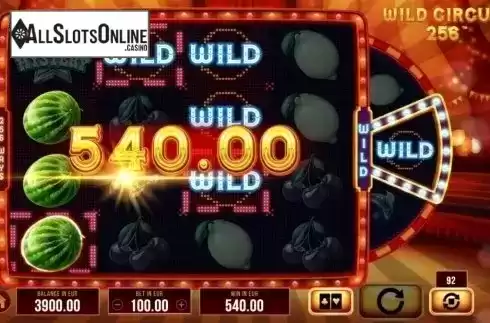 Win Screen 1. Wild Circus 256 from SYNOT