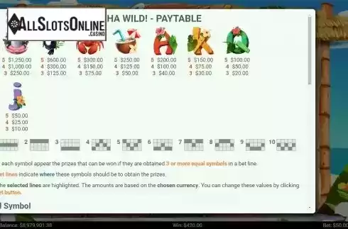 Paytable and paylines screen