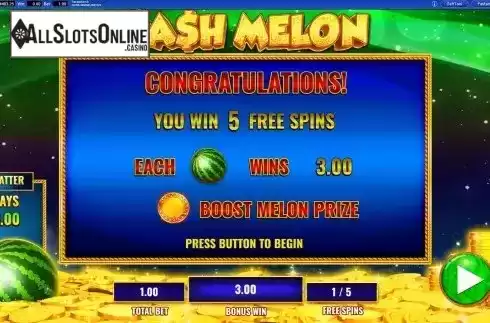 Free Spins Bonus Win Screen 2
