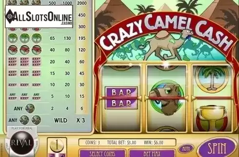 Screen3. Crazy Camel Cash from Rival Gaming