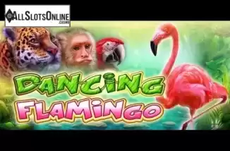 Dancing Flamingo. Dancing Flamingo from Casino Technology