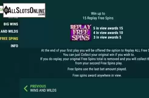 Replay Free Spins screen. Spins of Fortune from Intouch Games