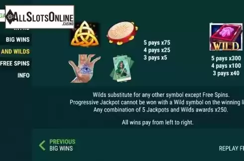 Wins and Wilds screen. Spins of Fortune from Intouch Games
