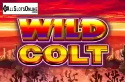 Wild Colt
