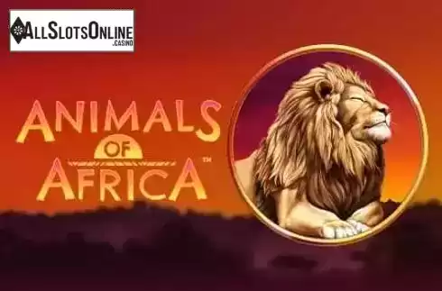 Animals of Africa Gameplay