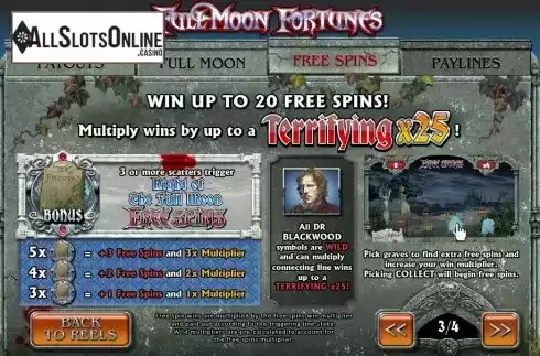 Screen5. Full Moon Fortune from Playtech