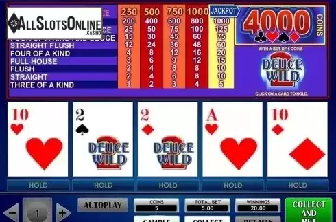 Game Screen. 2 Deuce Wild Poker from iSoftBet