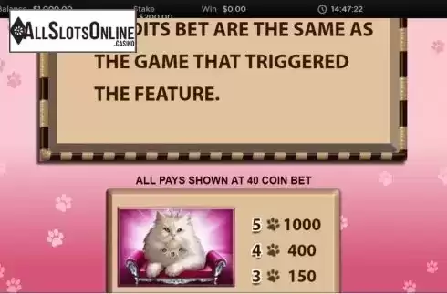 info 5. Candy Cats and Cash from Wild Streak Gaming