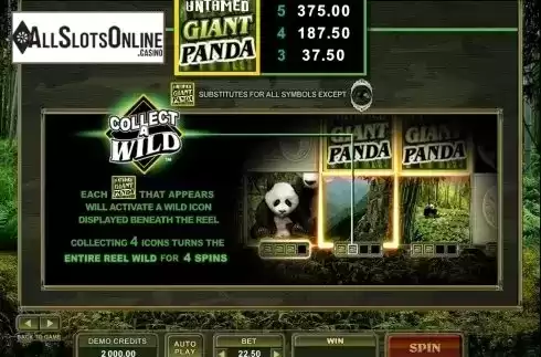 Screen3. Untamed Giant Panda from Microgaming