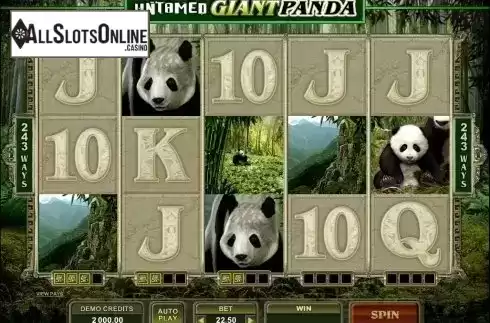 Screen8. Untamed Giant Panda from Microgaming