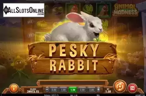 Pesky Rabbit