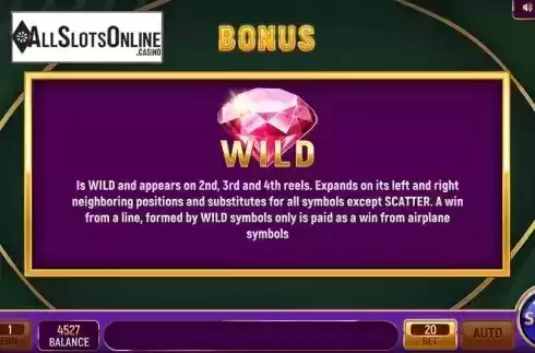 Bonus / Wild Rules Screen