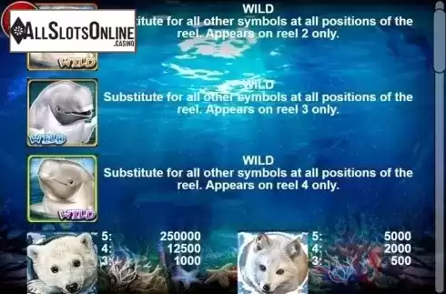Paytable 1. Jolly Beluga Whales from Casino Technology