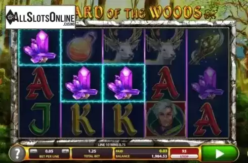 Win Screen 3. Wizard of the Woods from 2by2 Gaming