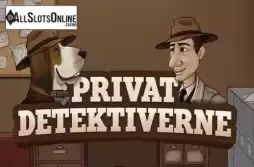 Privat Detektiverne