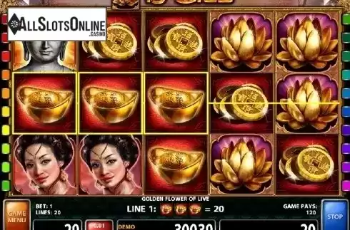 Screen 5. Golden Flower Of Life from Casino Technology