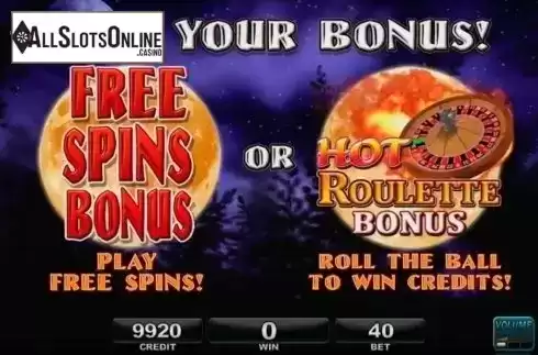 Choose a bonus. Hot Roulette - Wolf Run from IGT