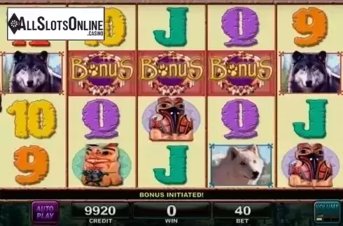 Bonus. Hot Roulette - Wolf Run from IGT