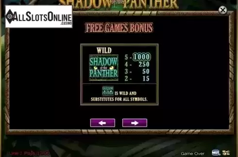 Screen8. Shadow of the Panther from High 5 Games