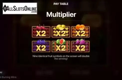 Multiplier screen