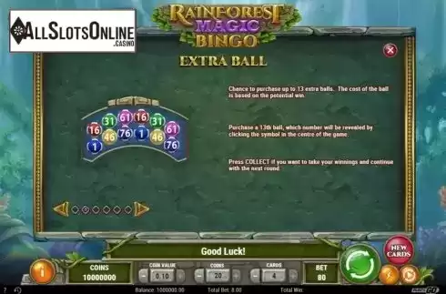 Game Rules 2. Rainforest Magic Bingo from Play'n Go