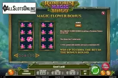 Game Rules 3. Rainforest Magic Bingo from Play'n Go