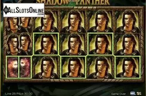 Screen3. Shadow of the Panther from High 5 Games
