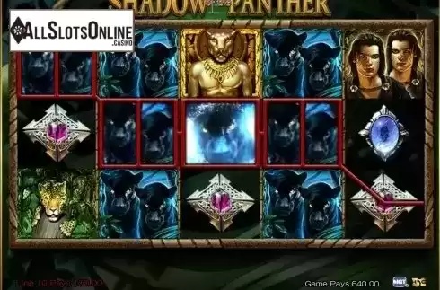 Screen5. Shadow of the Panther from High 5 Games